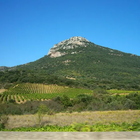 Holiday home Le Vissou Cabrieres (Herault)